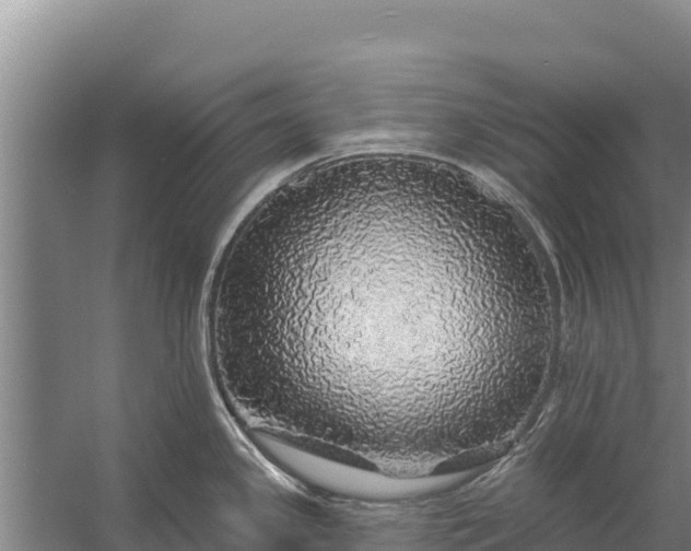 X0000057571341200509302101