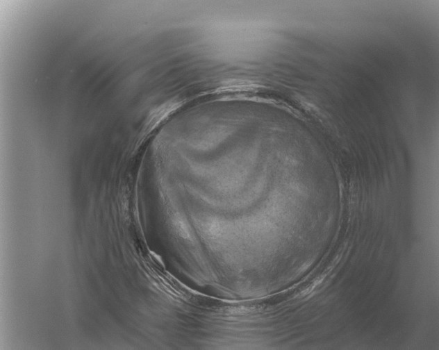 X0000057571401200509302059