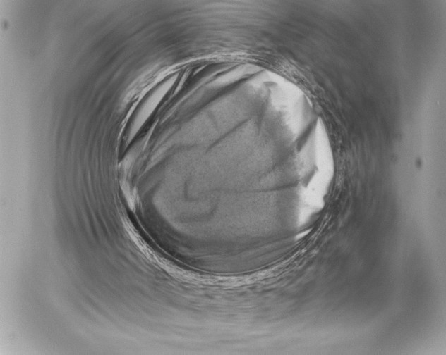 X0000057570002200510071555