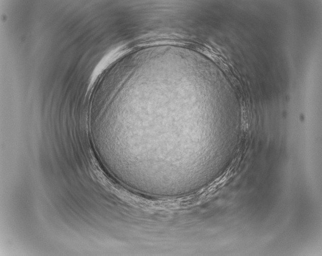 X0000057570004200510071555