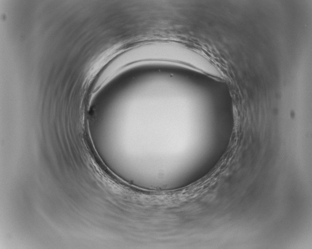 X0000057570005200510071555