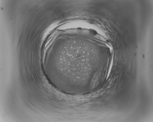 X0000057570006200510071555