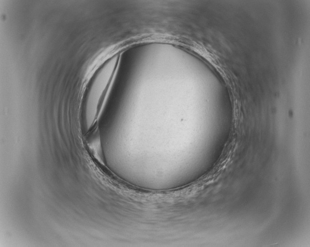 X0000057570007200510071555