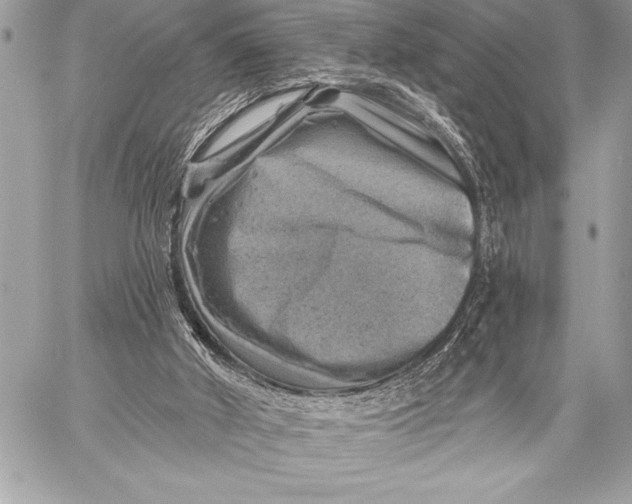 X0000057570010200510071555