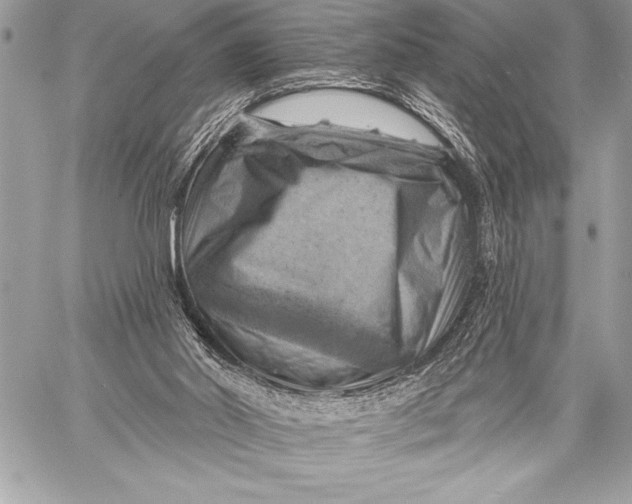 X0000057570014200510071555