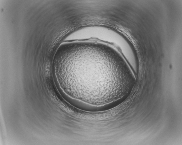 X0000057570017200510071555