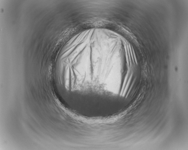 X0000057570018200510071555
