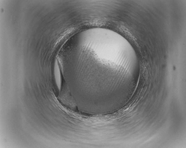 X0000057570020200510071555
