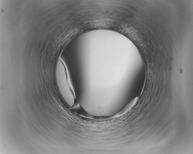 X0000057570021200510071555