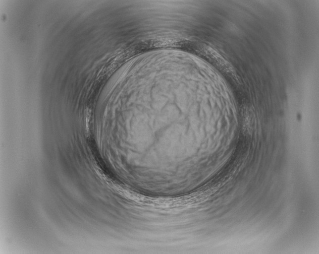 X0000057570026200510071555