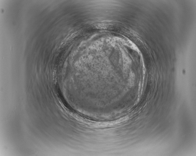 X0000057570031200510071555