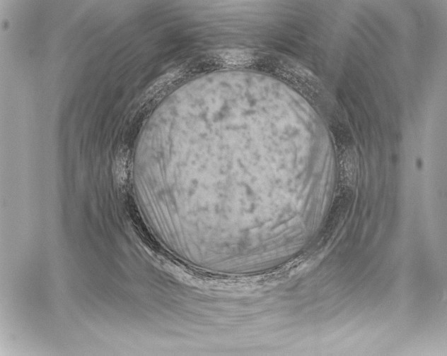 X0000057570032200510071555