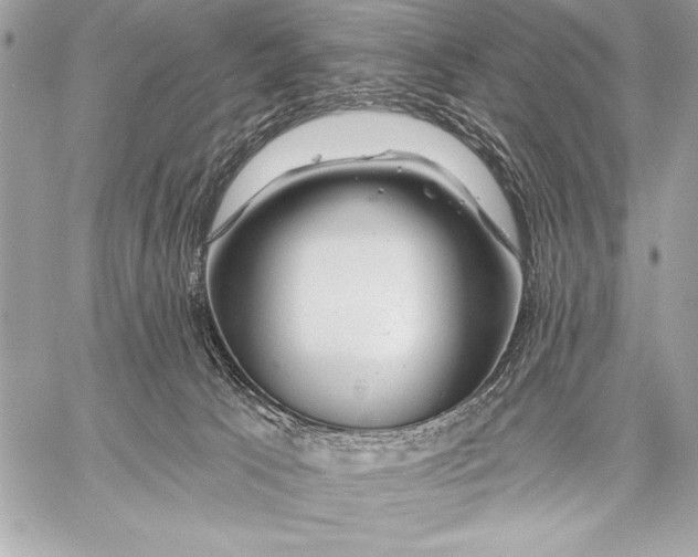 X0000057570033200510071555