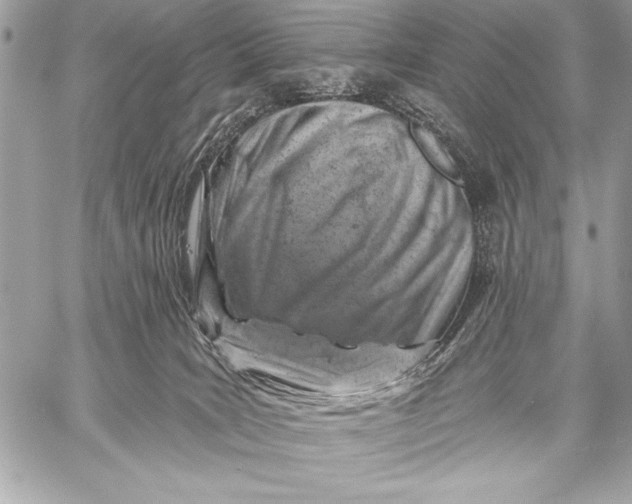 X0000057570035200510071555
