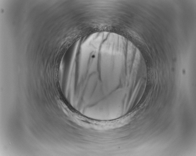 X0000057570039200510071555