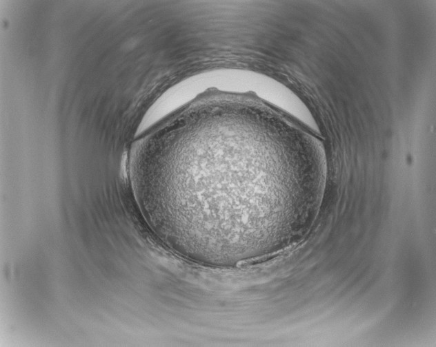 X0000057570041200510071555