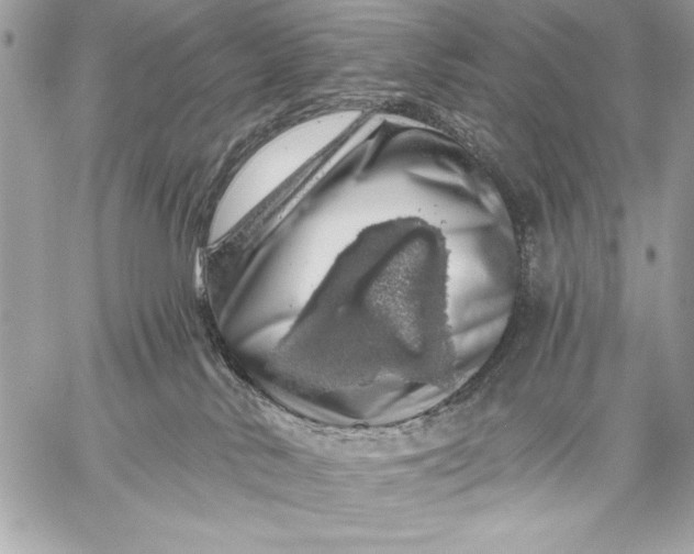 X0000057570042200510071555