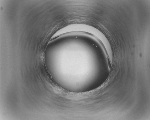 X0000057570045200510071555