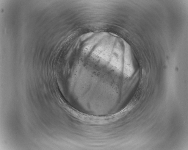 X0000057570048200510071555