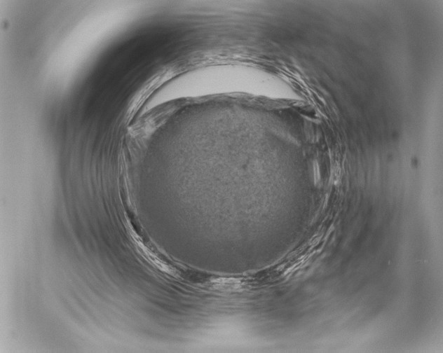 X0000057570052200510071554