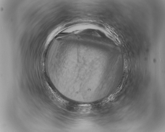 X0000057570053200510071554