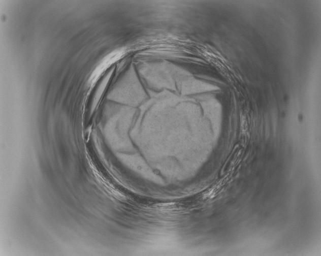 X0000057570054200510071554