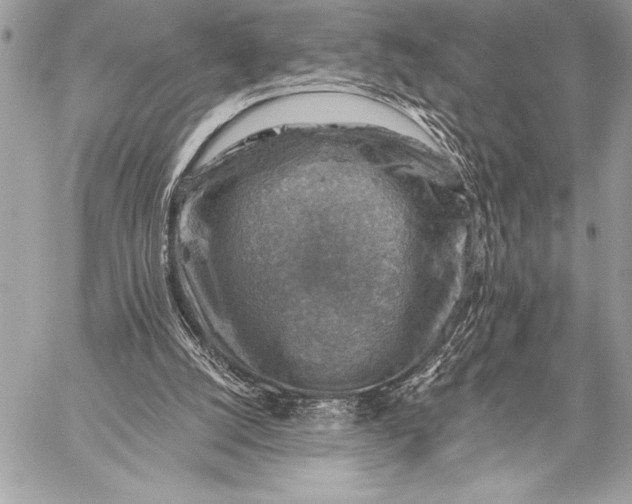 X0000057570056200510071554