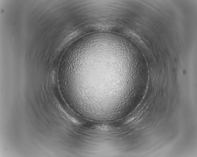 X0000057570071200510071554
