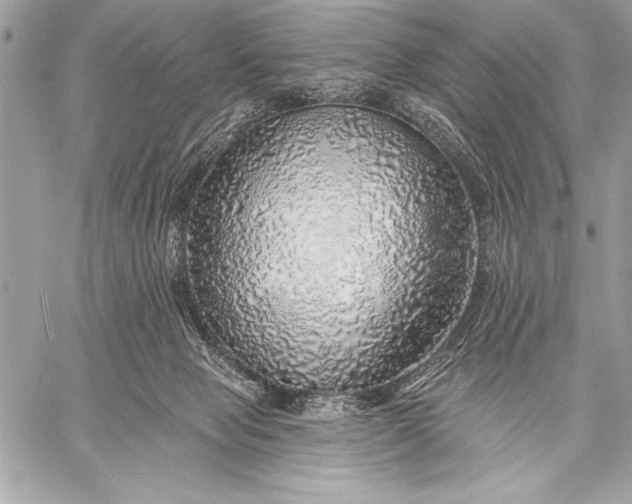 X0000057570077200510071554