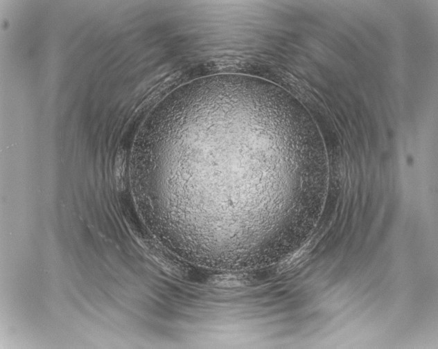 X0000057570082200510071554