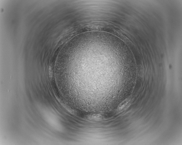 X0000057570086200510071554