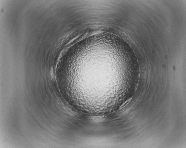 X0000057570089200510071554