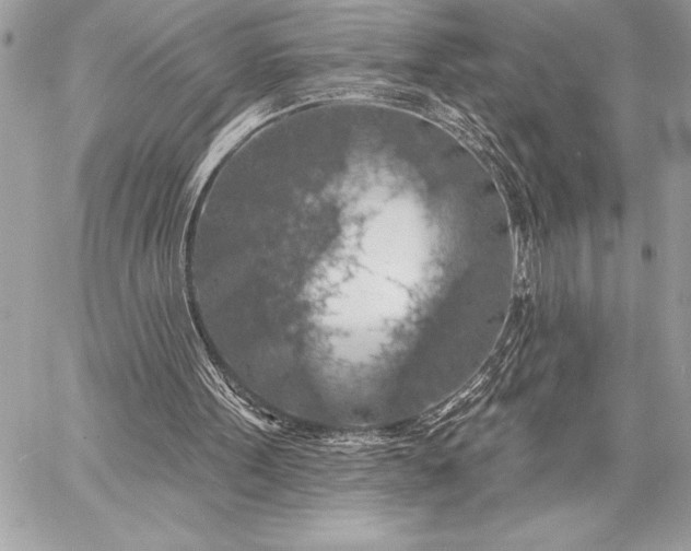 X0000057570099200510071554