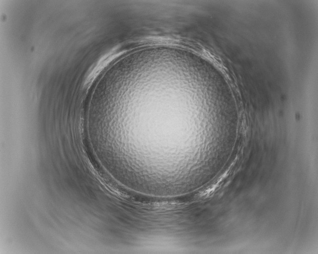 X0000057570103200510071554