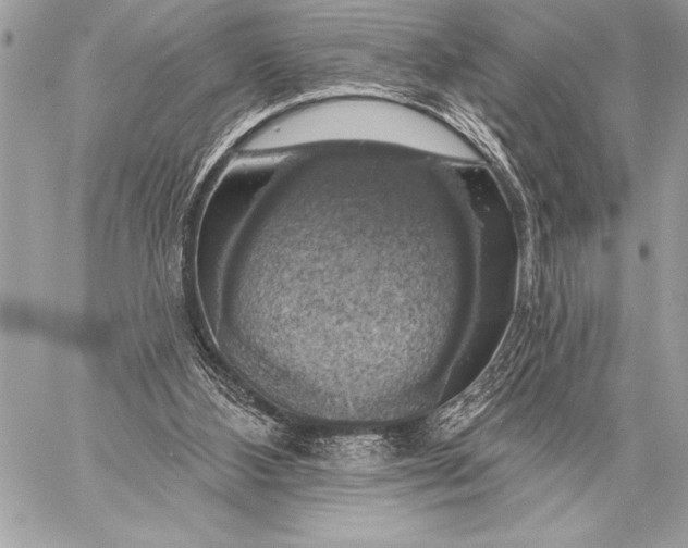 X0000057570108200510071554