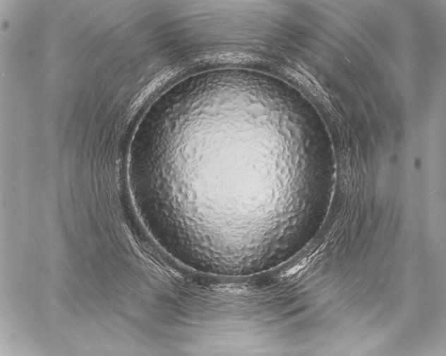 X0000057570111200510071553