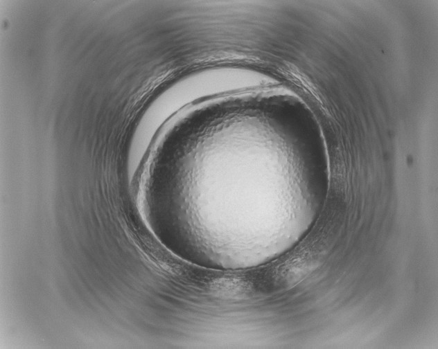 X0000057570119200510071553
