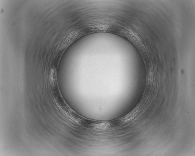 X0000057570122200510071553