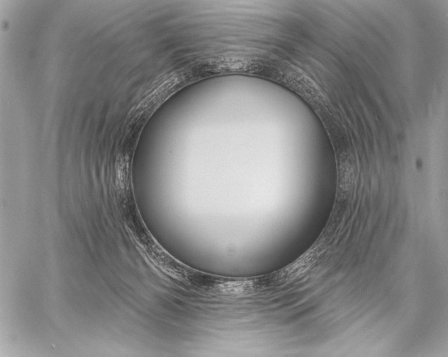 X0000057570126200510071553