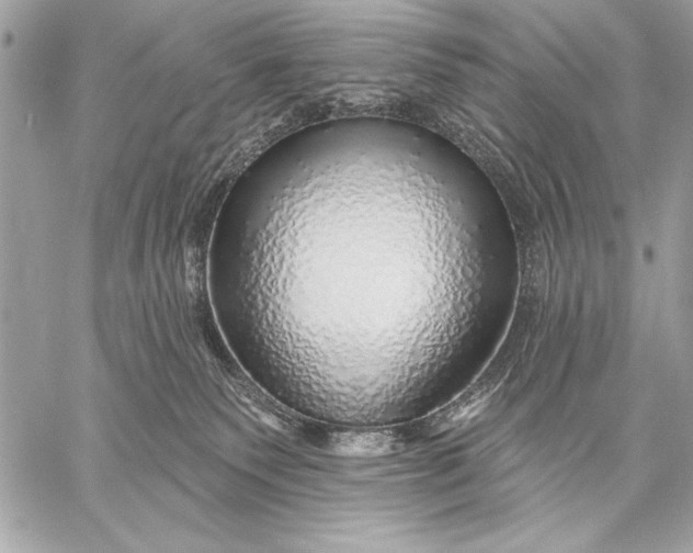 X0000057570135200510071553