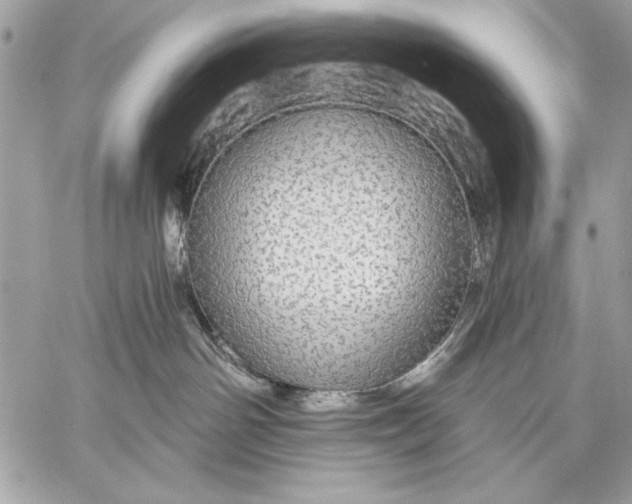 X0000057570142200510071553