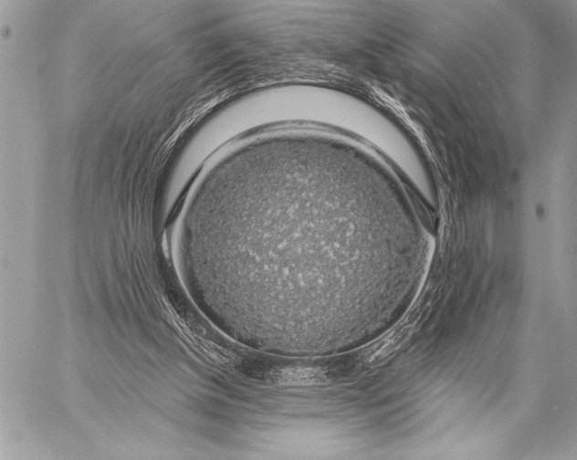 X0000057570154200510071552