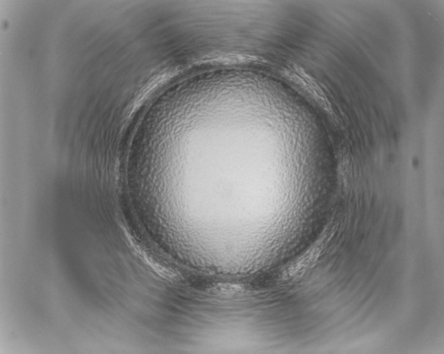 X0000057570159200510071552
