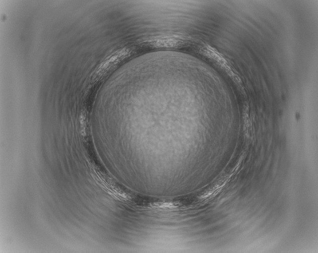 X0000057570161200510071552