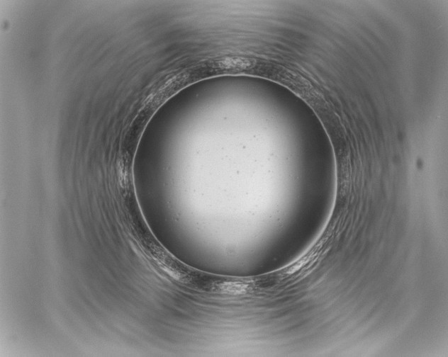 X0000057570176200510071553