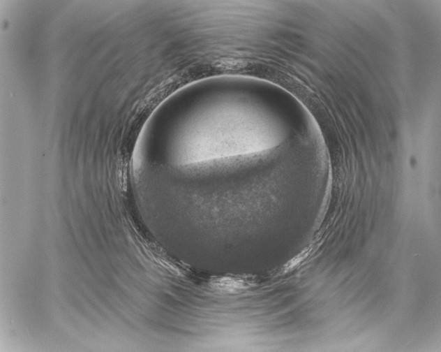 X0000057570180200510071553