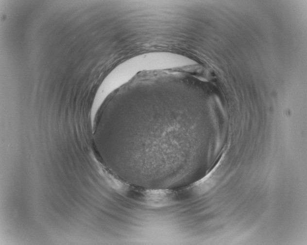 X0000057570192200510071553