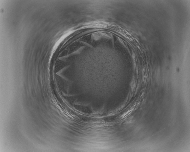 X0000057570200200510071552