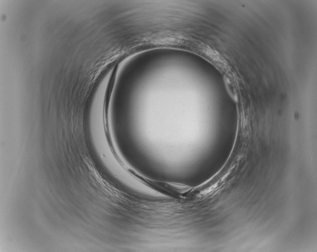 X0000057570201200510071552