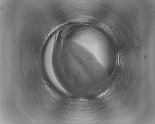 X0000057570204200510071552